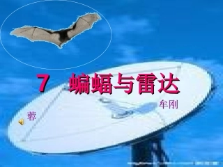 7蝙蝠与雷达