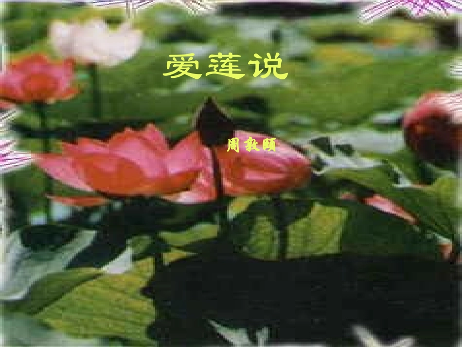 八年级语文上册《爱莲说》优秀教案PPT_第1页