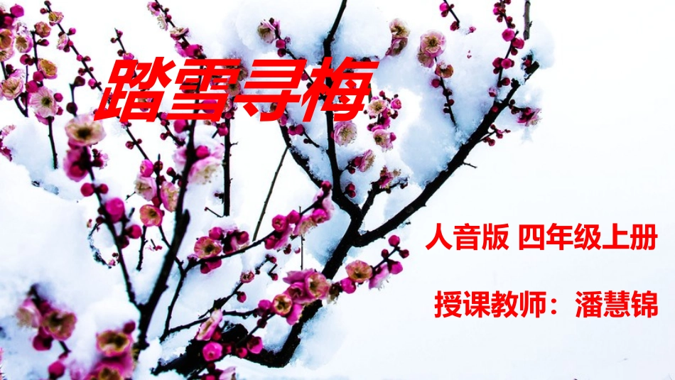 演唱踏雪寻梅_第1页