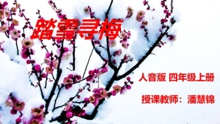 演唱踏雪寻梅
