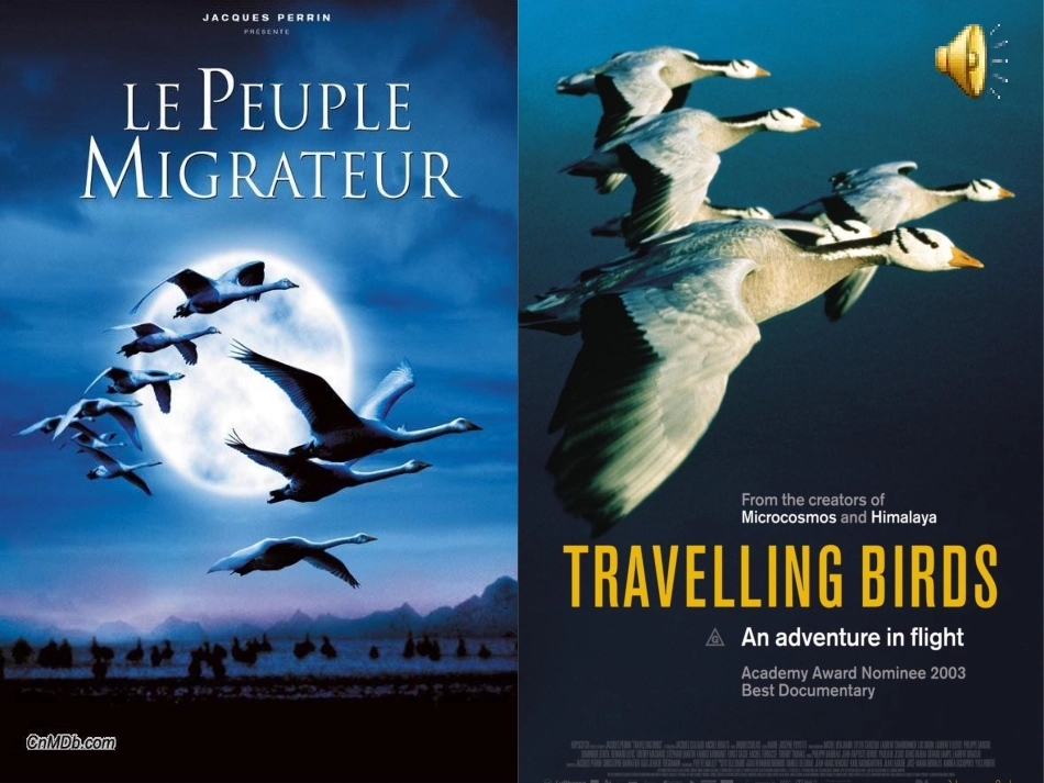 Reading(1)：PopulationmovementintheUSA_第2页