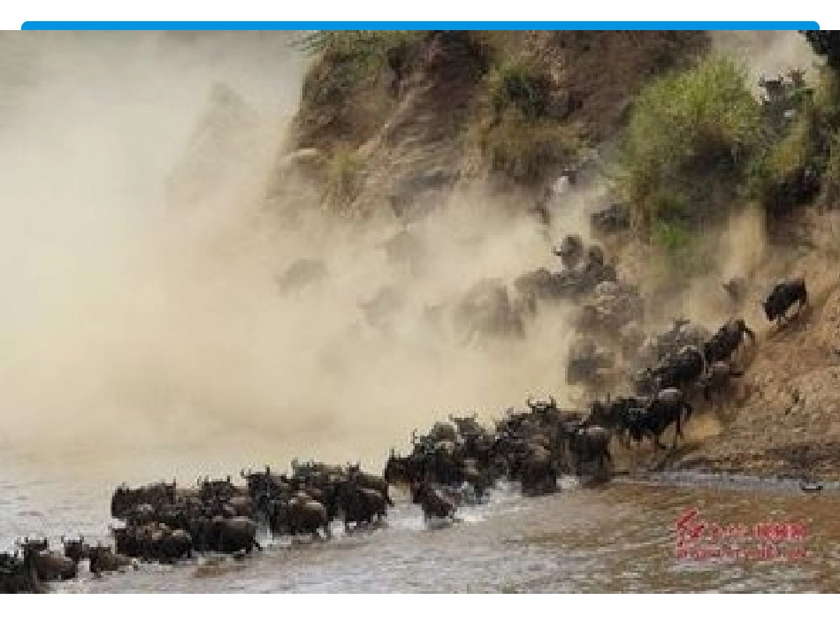 Reading(1)：PopulationmovementintheUSA_第3页