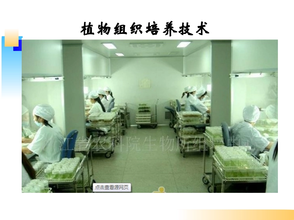 科学·技术·社会植物的组织培养-(7)_第3页