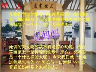 阿长与山海经-(2)