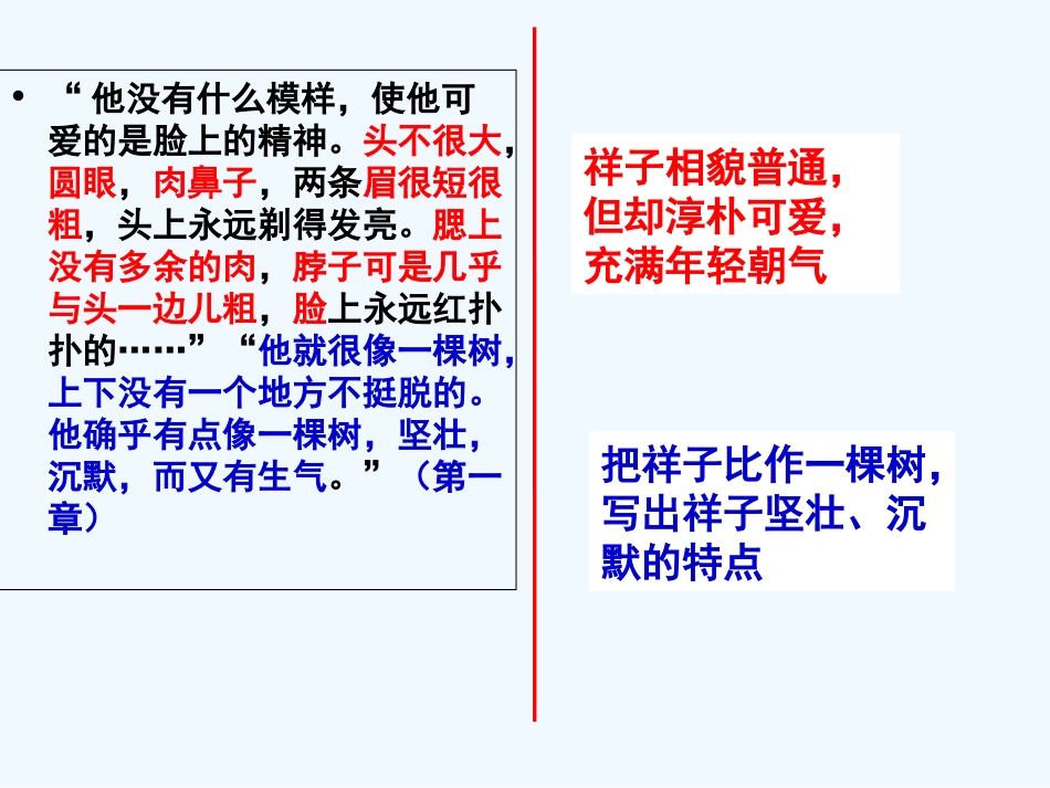 (部编)初中语文人教2011课标版七年级下册第五组情节圈点批注阅读_第2页