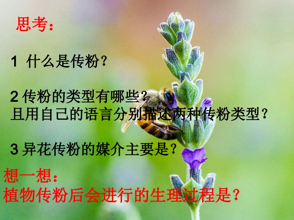 与生物学有关的职业-大地的美容师——园艺师_第3页