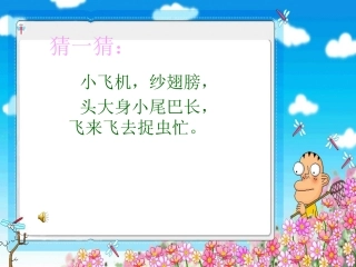 人教版小学美术二年级上册《蜻蜓飞飞》PPT