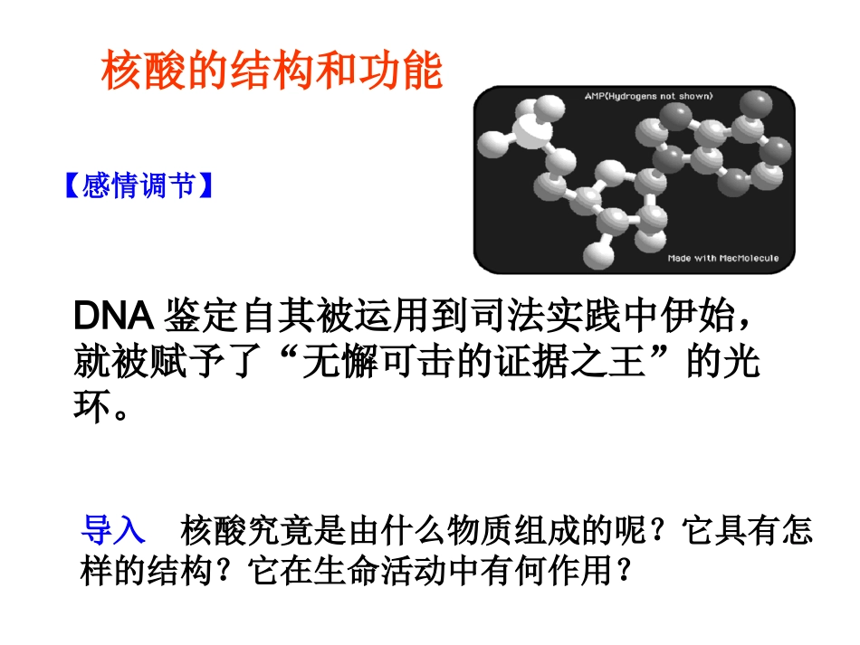 核酸的结构和功能_第1页