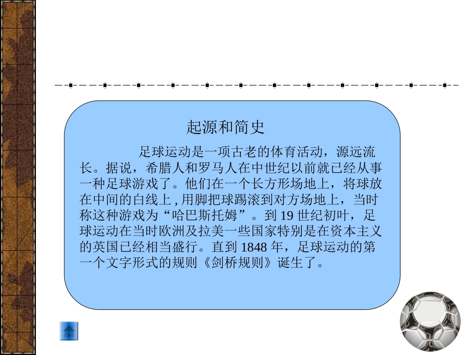 足球-96641_第3页
