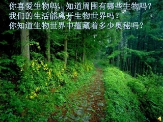 致同学们-(7)