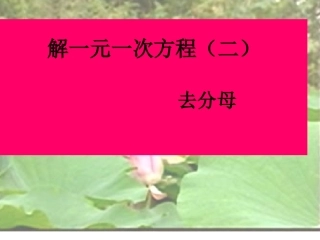 《解一元一次方程——去分母》课件