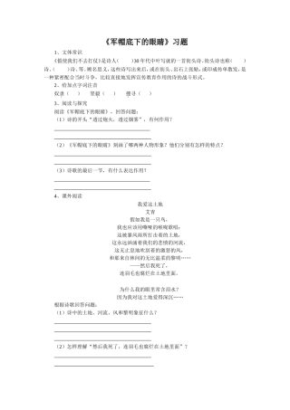 《军帽底下的眼睛》习题1