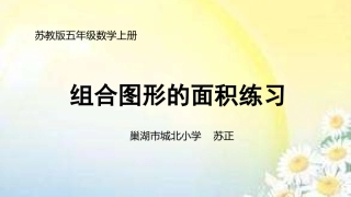 9.组合图形面积计算练习-(2)