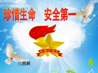 “珍惜生命-安全第一”中队活动课件[1]1