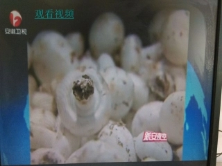 第十课维护消费者权利-(2)