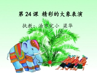 24--精彩的大象表演-梁华