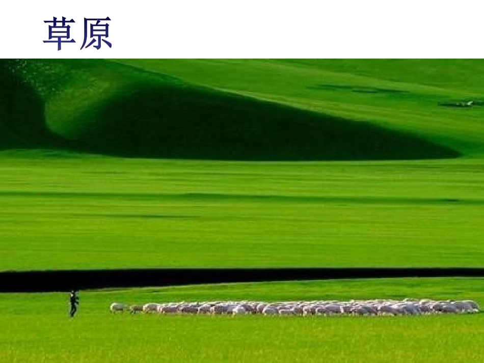 爱护植被-绿化祖国-(3)_第3页