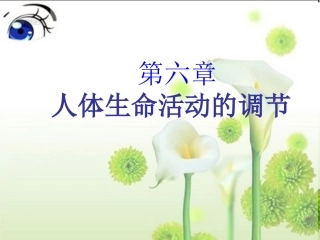第三节感觉和感觉器官
