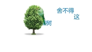 舍不得这棵树