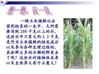 科学·技术·社会-森林可以减缓气候变化