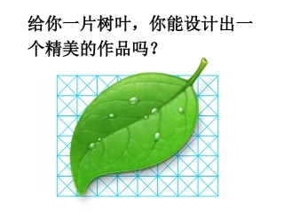 树叶-轴对称