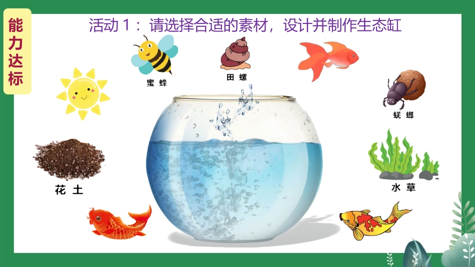 第三节能量流动和物质循环_第3页