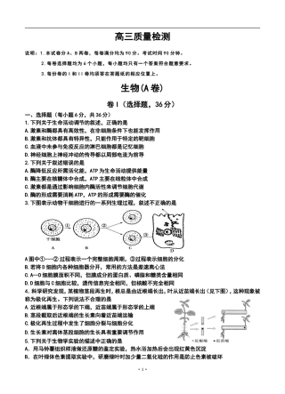 2014届山东省文登市高三上学期期中统考生物试题(A卷)及答案