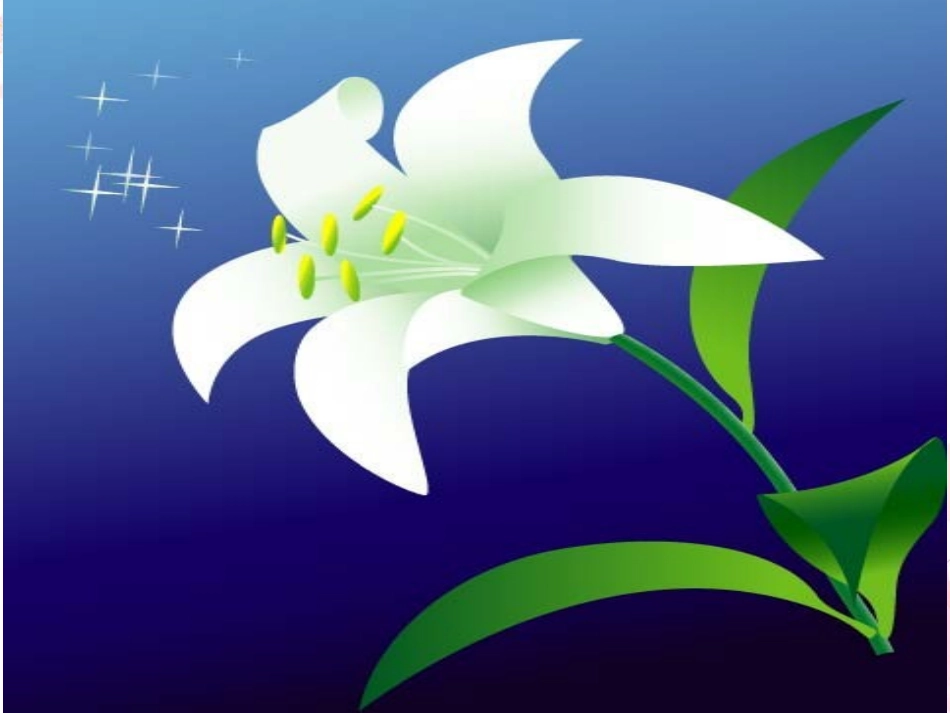 心田上的百合_第2页