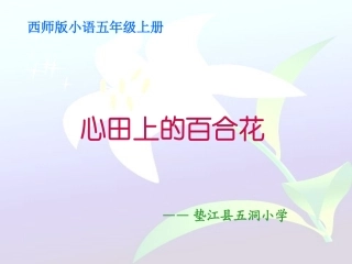 心田上的百合