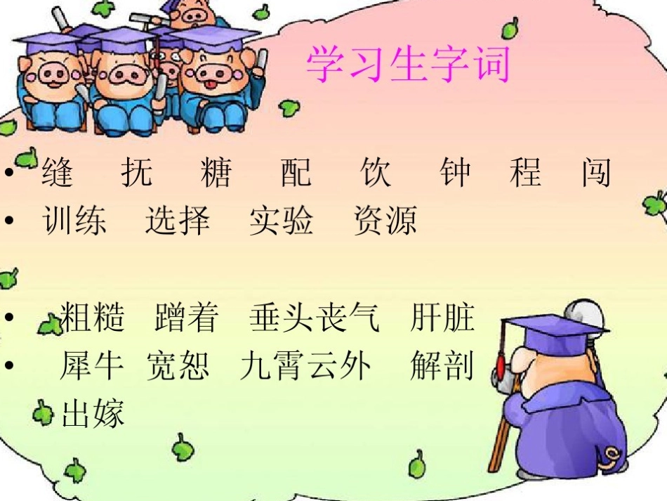 3-小狮子爱尔莎-(2)_第3页
