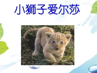 3-小狮子爱尔莎-(2)