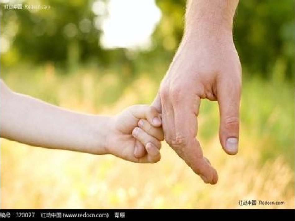 甜甜的泥土讲课用_第1页