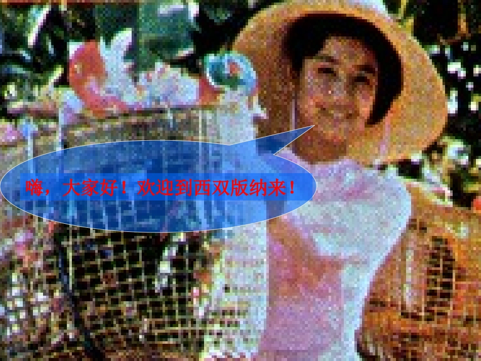 小学语文三年级课件-西双版纳_第2页