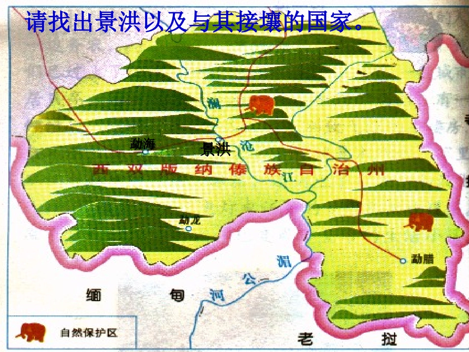 小学语文三年级课件-西双版纳_第3页
