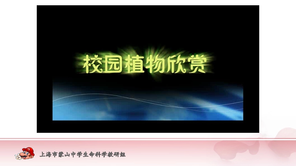 我们身边的植物_第2页