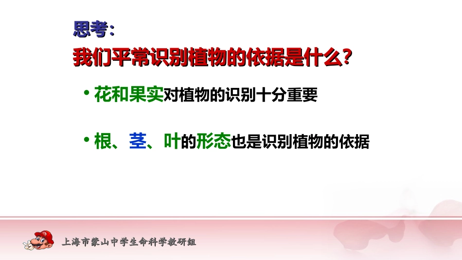 我们身边的植物_第3页