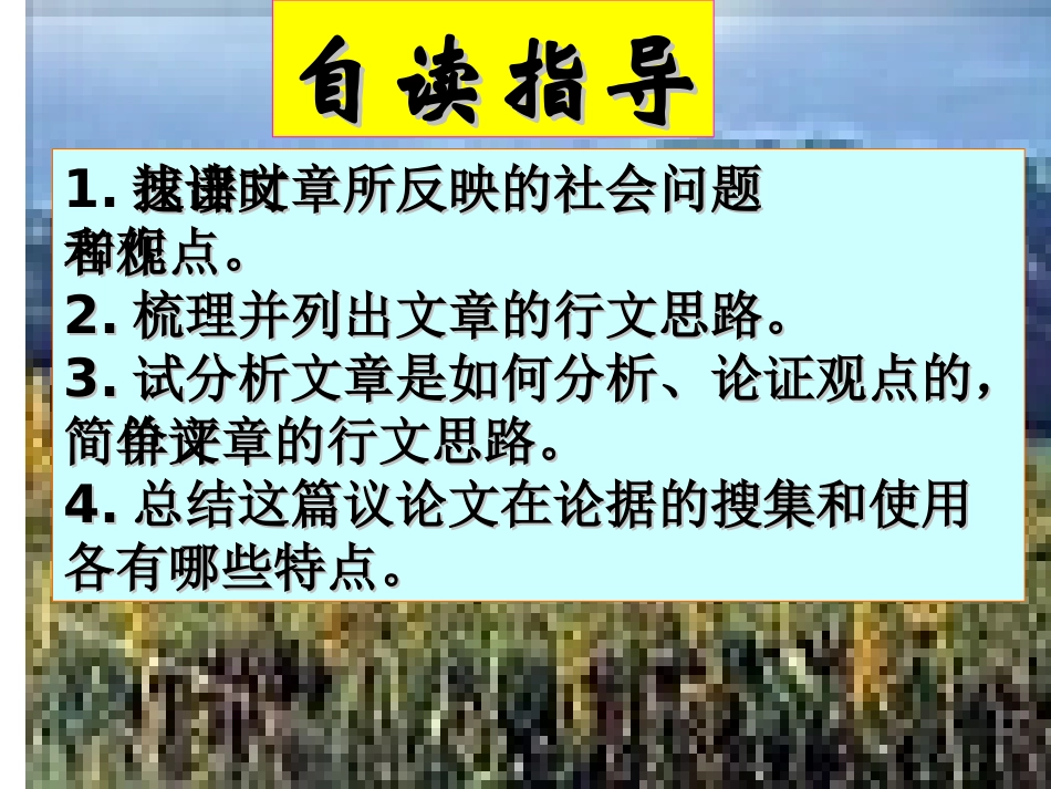 车队与红灯-(3)_第3页