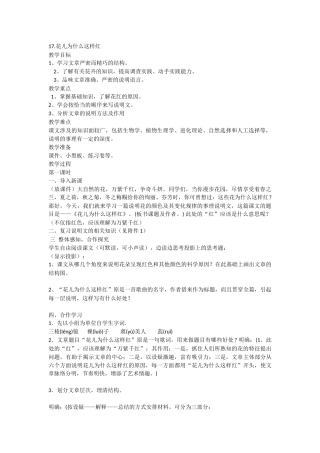 17.花儿为什么这样红
