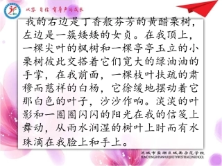 5狱中书简(节选)
