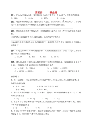 湖南省华鑫高中高一化学竞赛辅导 第五讲 碱金属