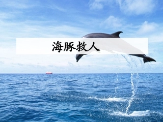8海豚救人-(3)