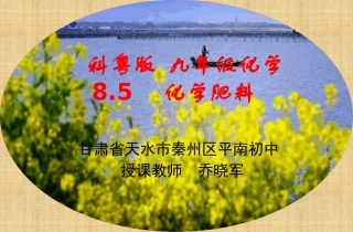 8.5化学肥料