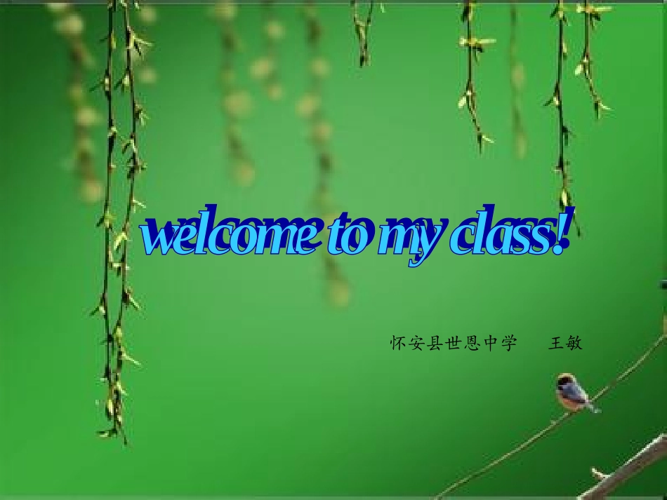 Lesson4TheSpringCity-(2)_第1页