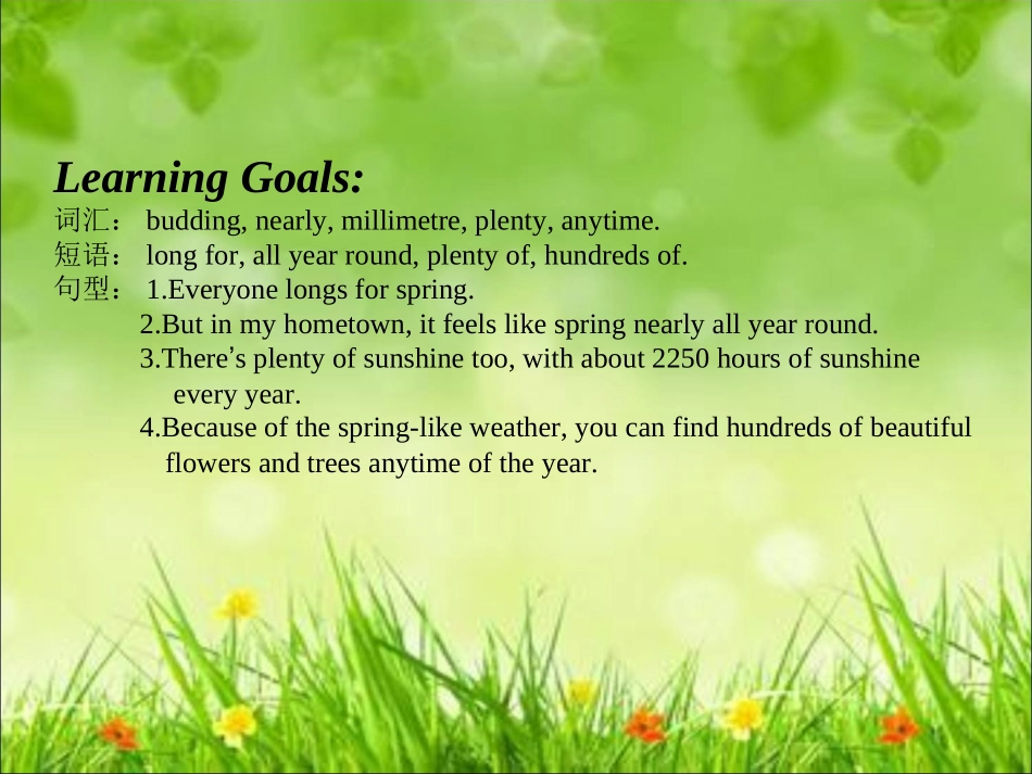 Lesson4TheSpringCity-(2)_第3页