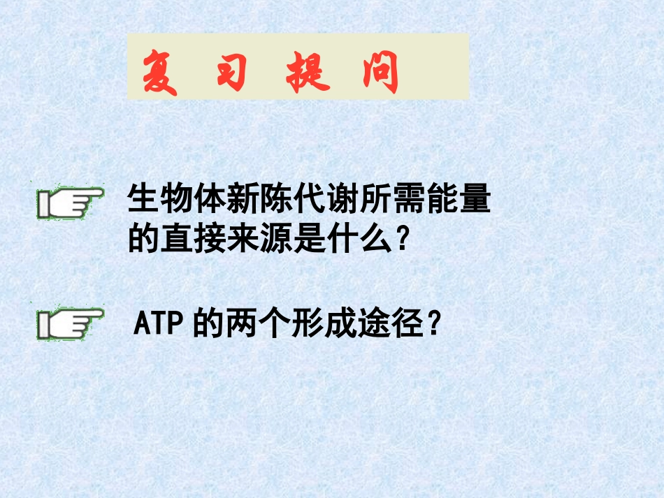 细胞呼吸的过程-(2)_第1页