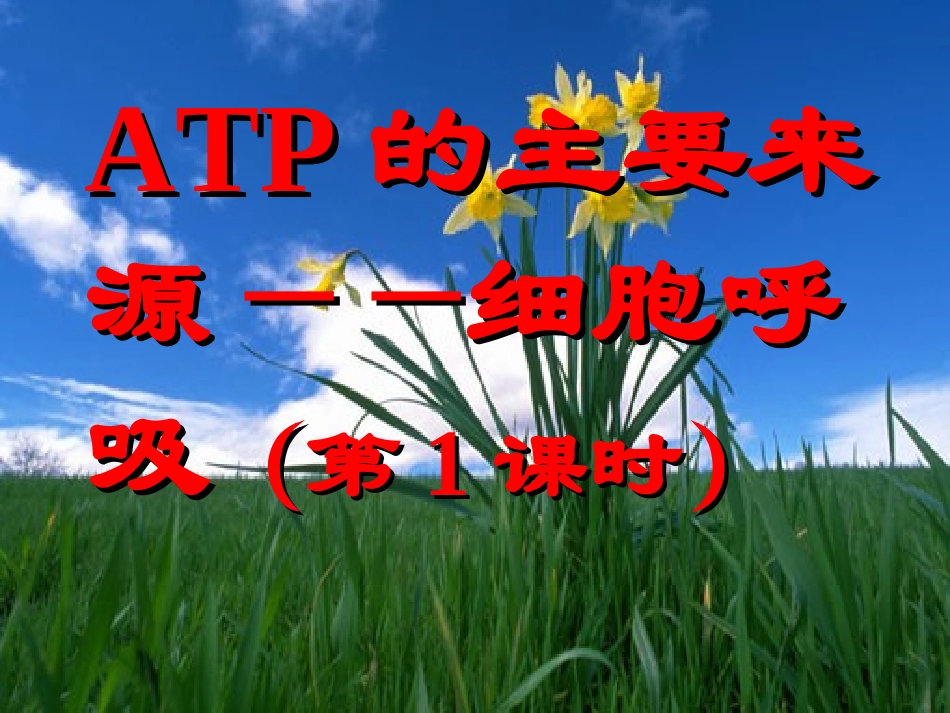 细胞呼吸的过程-(2)_第2页