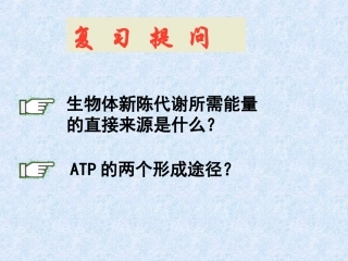 细胞呼吸的过程-(2)