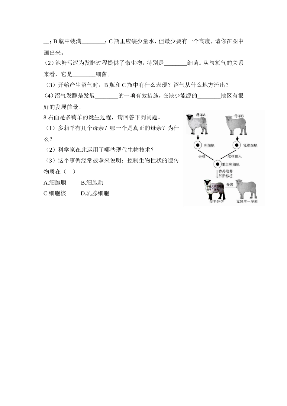 第四章现代生物技术_第2页