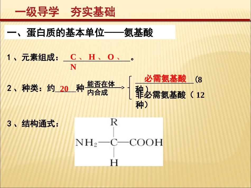 蛋白质的结构和功能_第2页