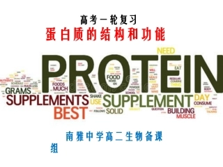 蛋白质的结构和功能